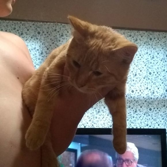 Meet your Posher, Jason - Picture 1 of 1